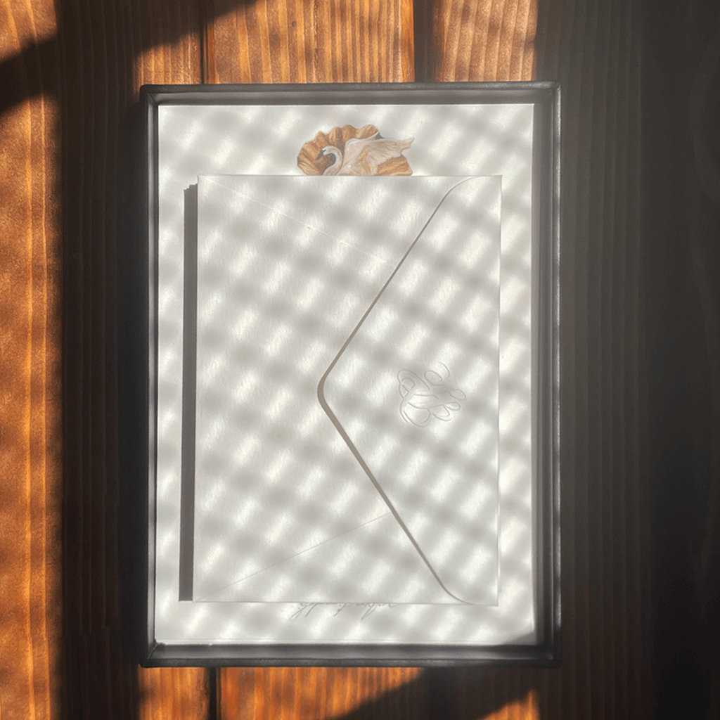 Stationary Set